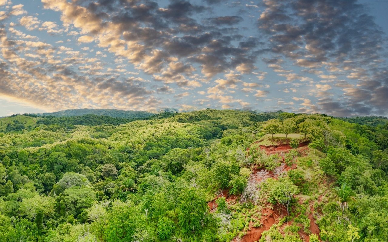 Ocean View Ridge Farm | 135-Acre Estate Near Playa Hermosa, Jacó