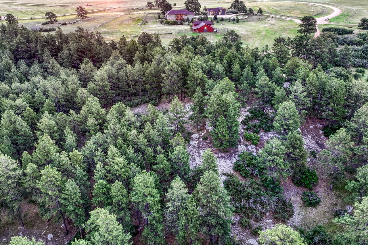 10345 Little Moon Trail
