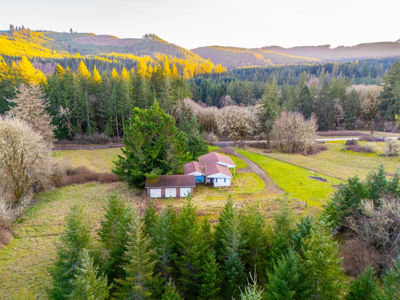 HARRIS FARM & FOREST