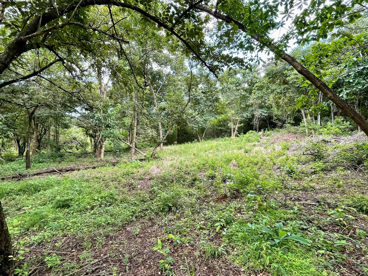 Salanitas Lot | Build Your Dream Home Near Playa Grande