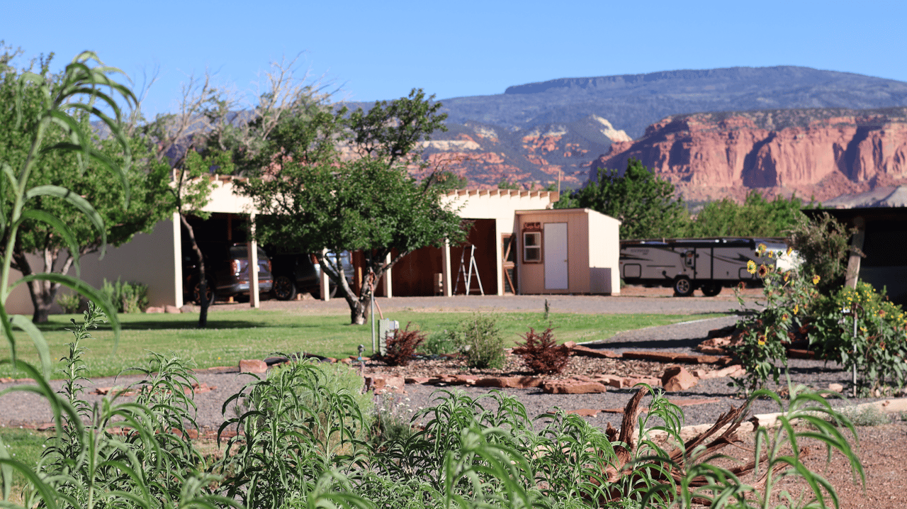 Torrey Land & Greenhouses