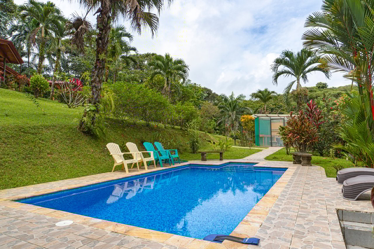 Serene Costa Rican Jungle Retreat with Waterfalls & Wildlife