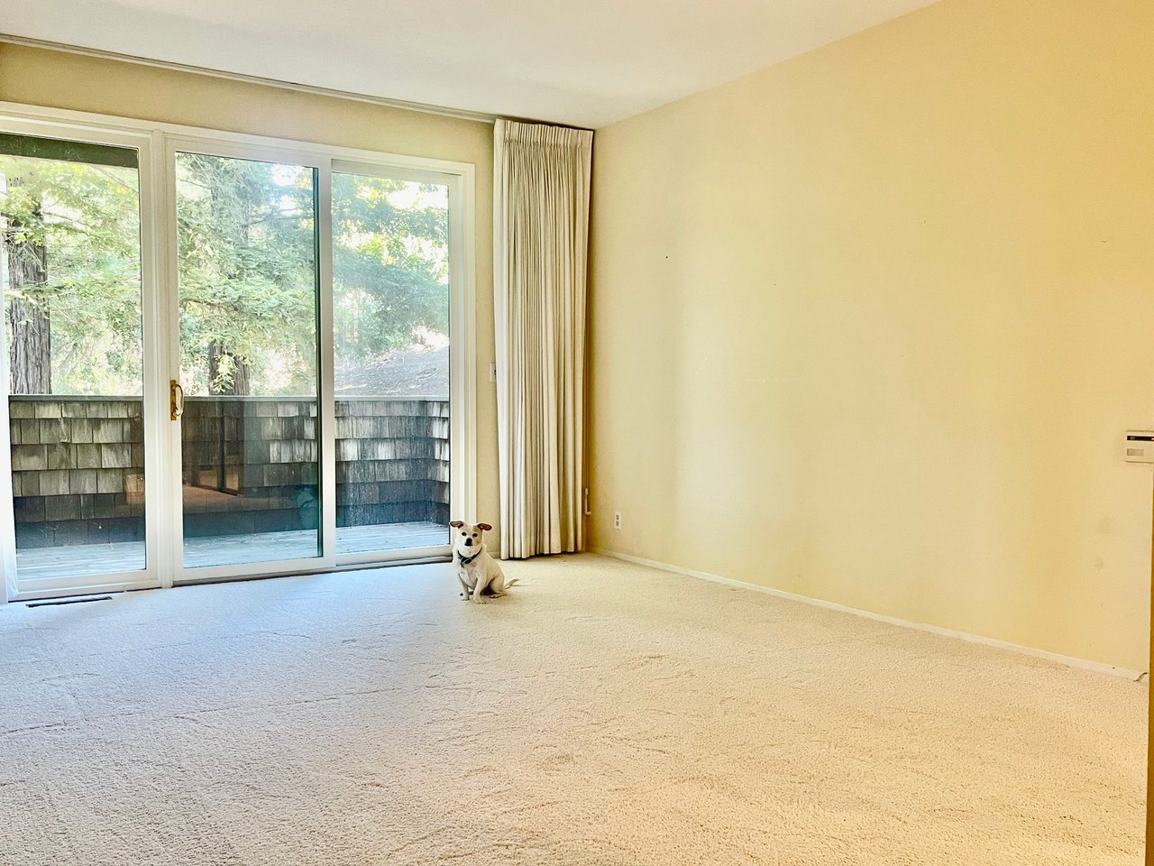 Orinda Woods Opportunity