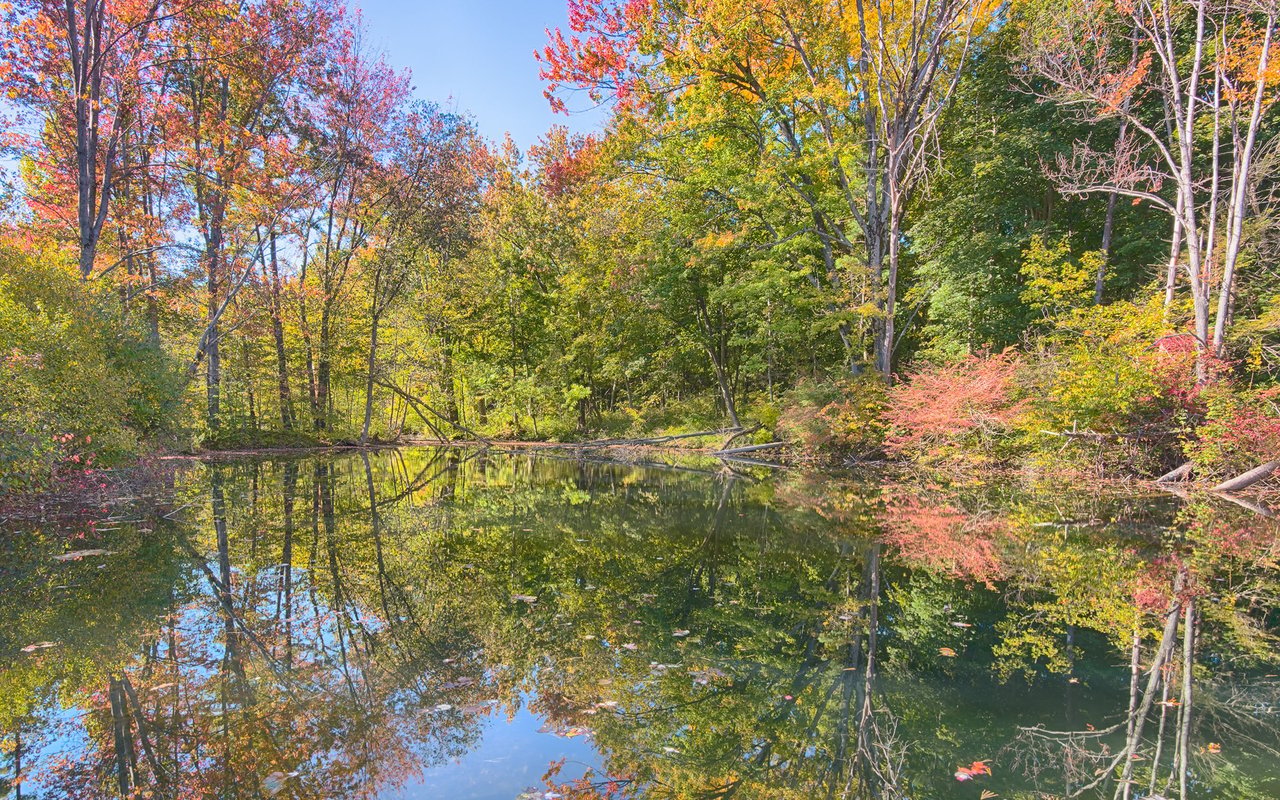 Shelby Township