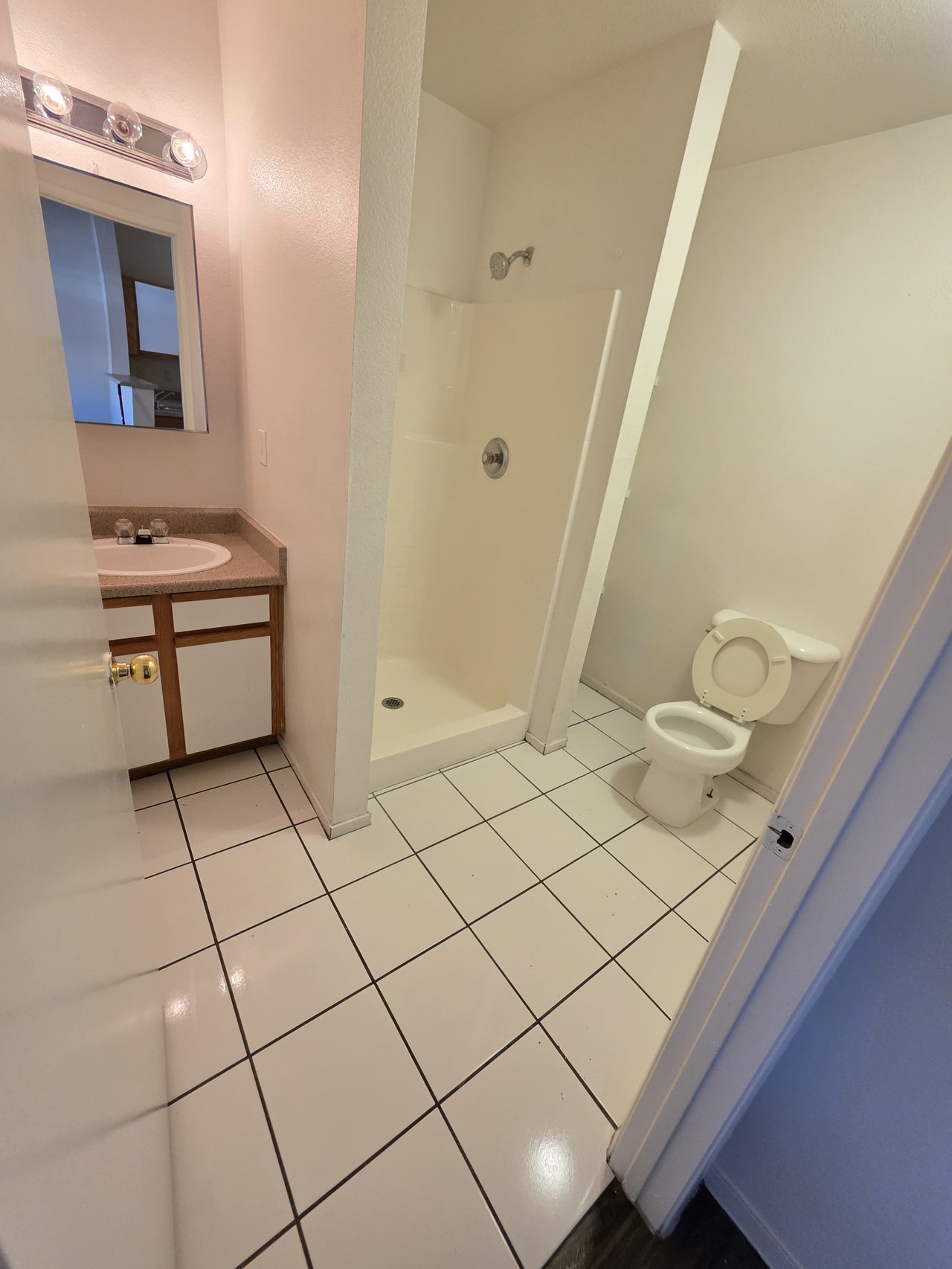3849 Soda Springs Drive - 1
