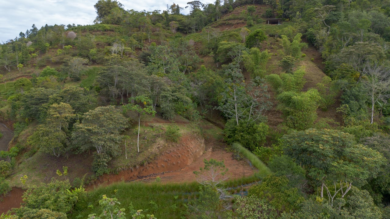 10.21 Acres with Views & Plantels – Pérez Zeledón