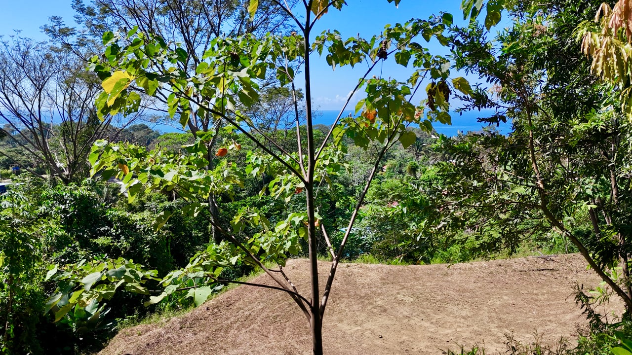 Ocean View Property in Playa Hermosa, Over 1.75 Acres