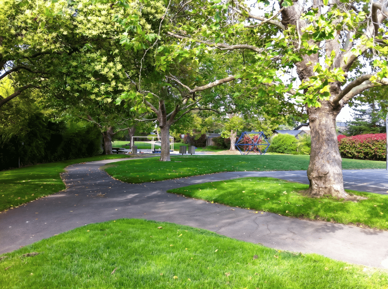 Best Walkable Neighborhoods in Mill Valley