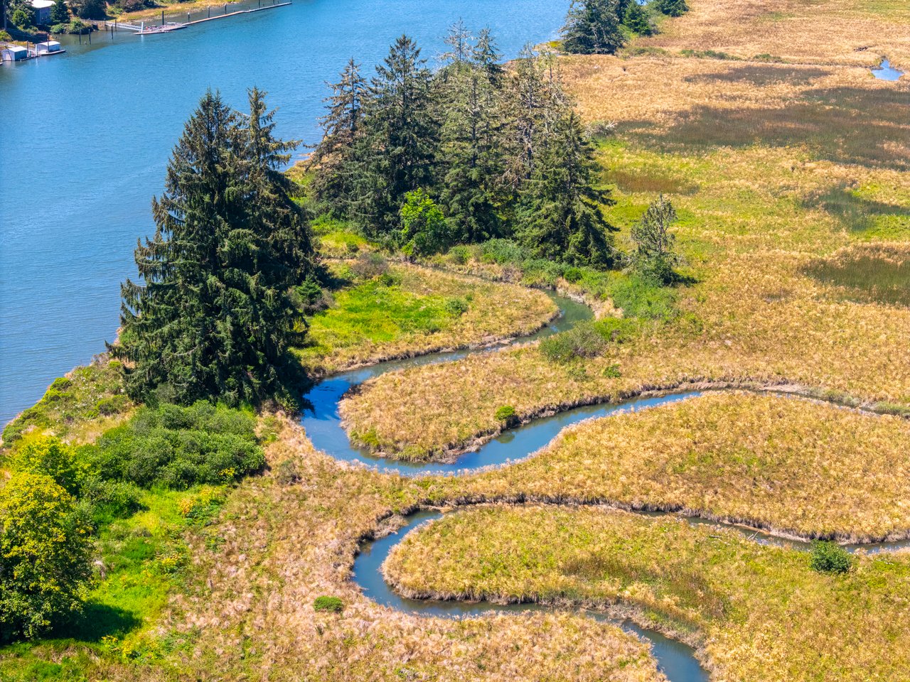 Alsea Estuary Forestland