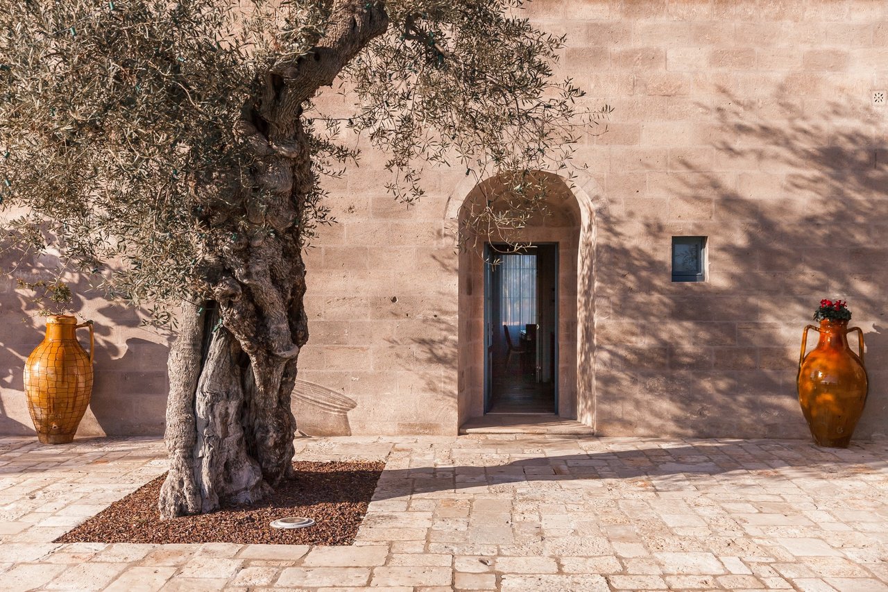 Intimate Villa Surrounded by Olive Trees Near the Town of Fasano