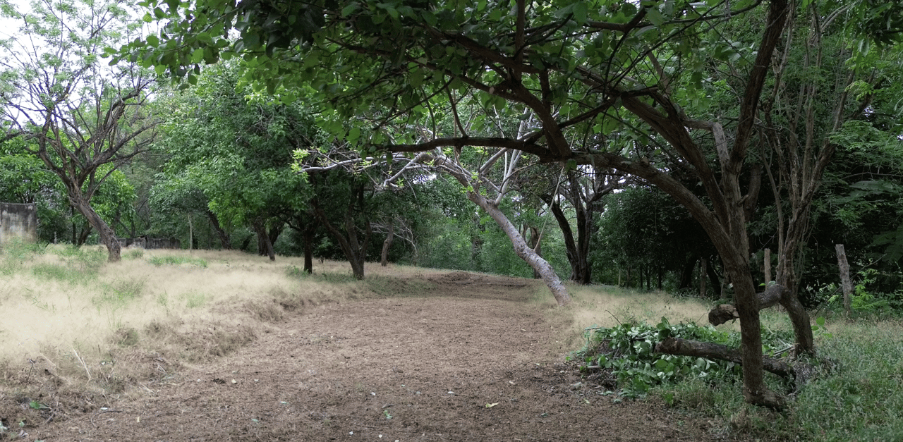 Riverside 7-acre Parcel with Well and Fruit Trees