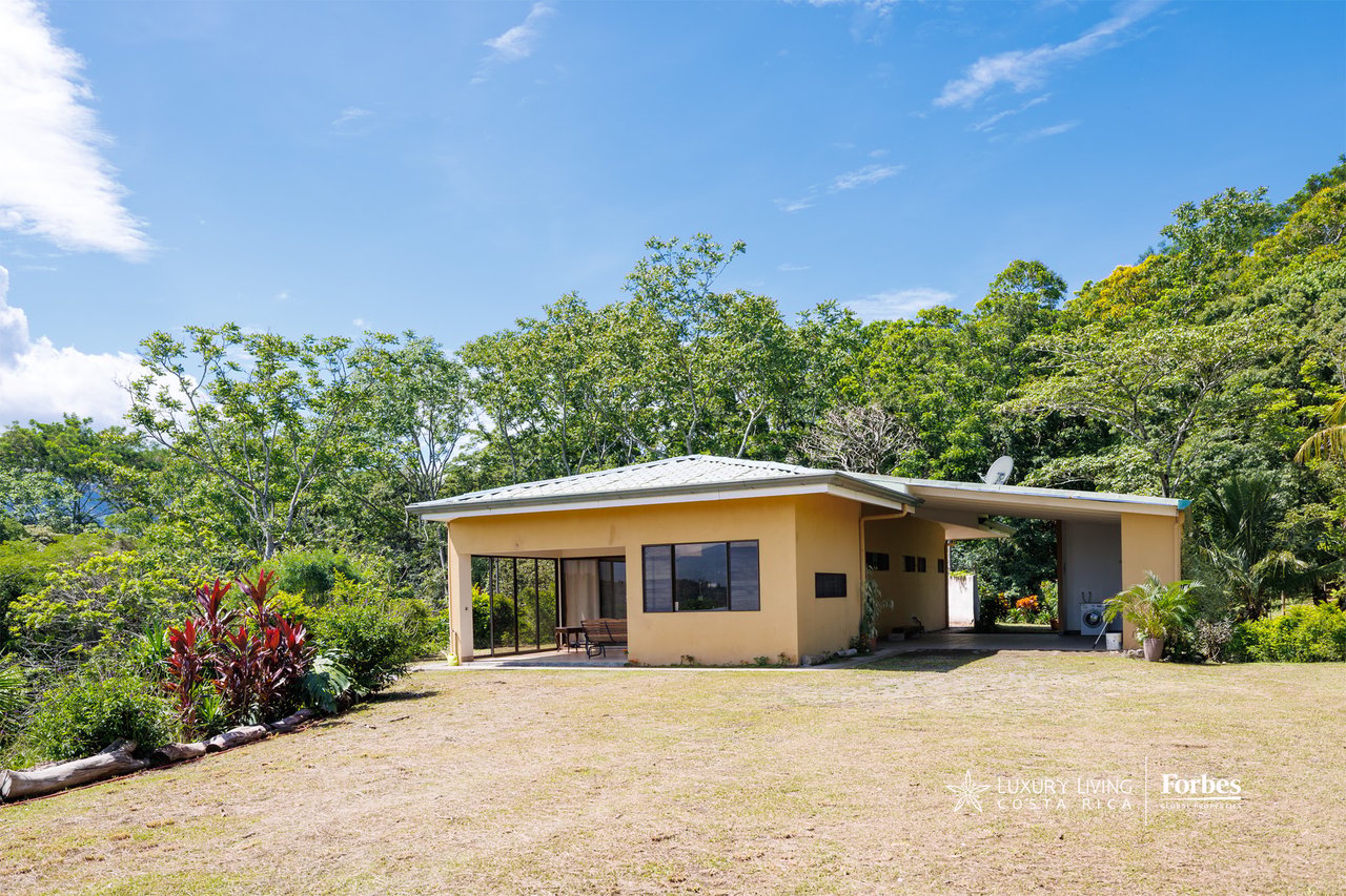 Yellow single-story house with covered carport, lawn, and dense tropical trees.