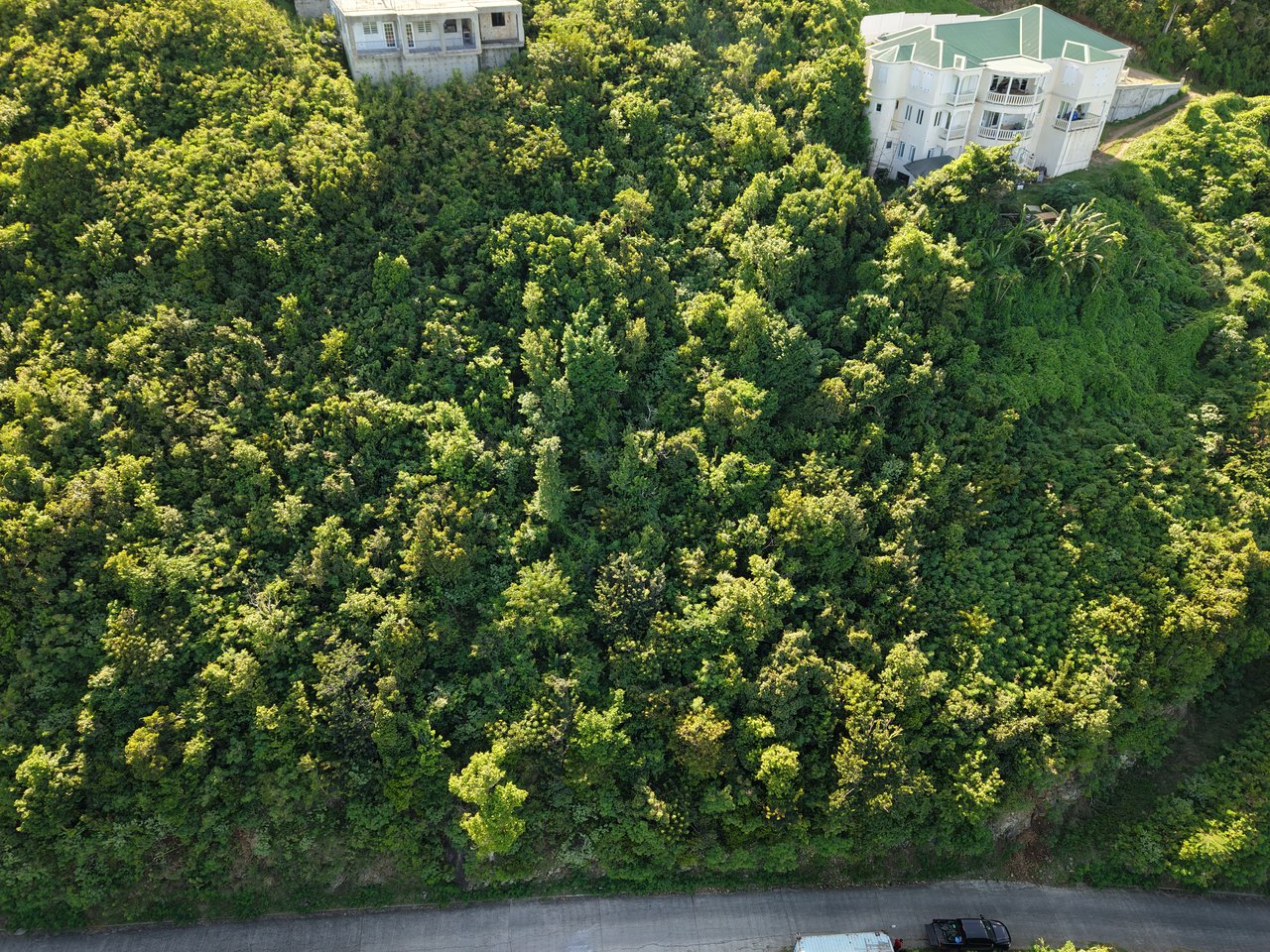 1007 Residential Lot in Nottingham Estate