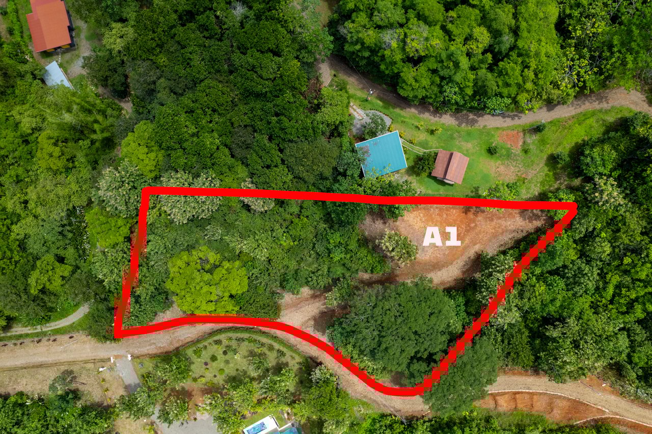 ¡New Gated Development in Matapalo - Ocean View and Flat Land, ready to build!