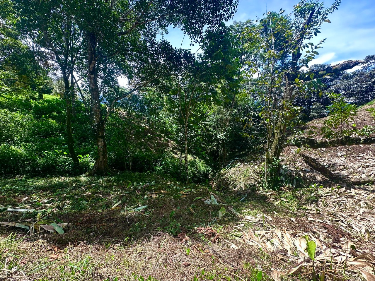 Build-Ready Lot in Ojochal’s Calle Cacique | Easy Access & Stunning Mountain Views