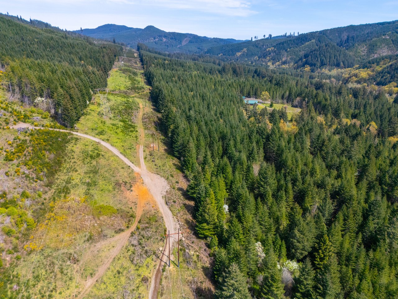 Nelson Mountain Meadows