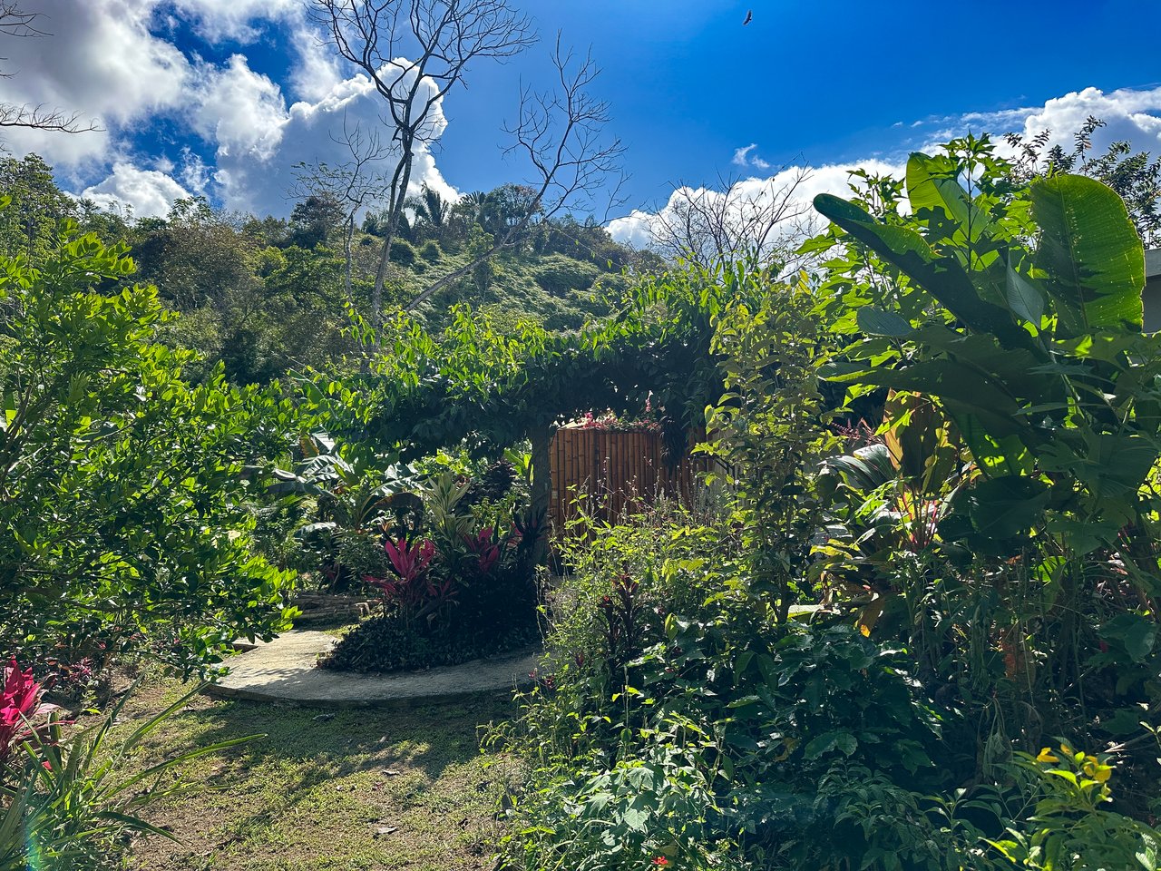 Tinamastes Costa Rica Property with Home, Yoga Deck & Land