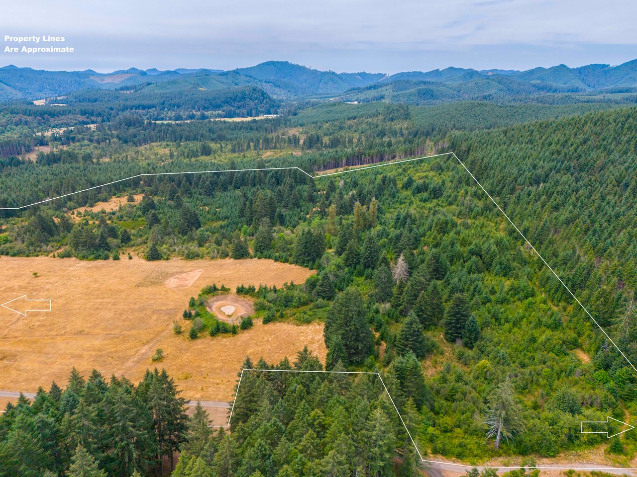 Sheffler Farm & Forest