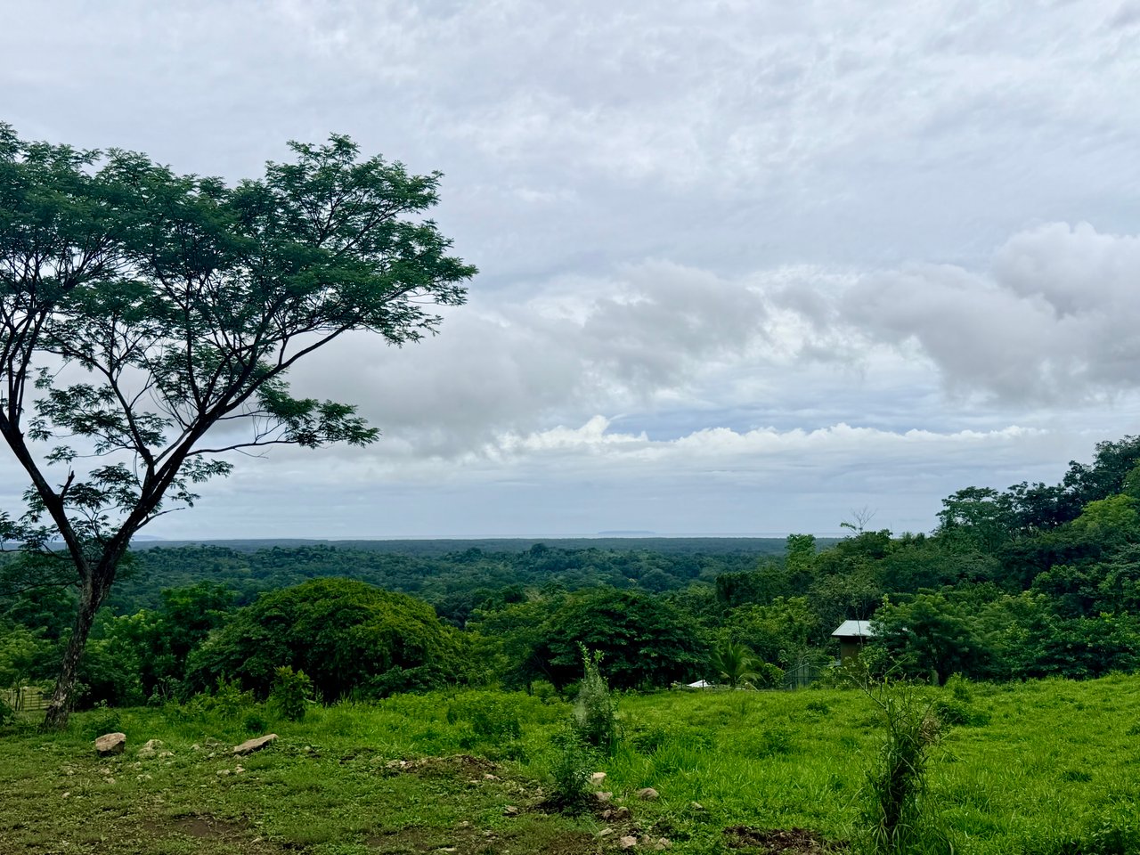 Ocean View Sanctuary in San Buenas – 4.94 Acres of Pastures & Easy Accessaccess