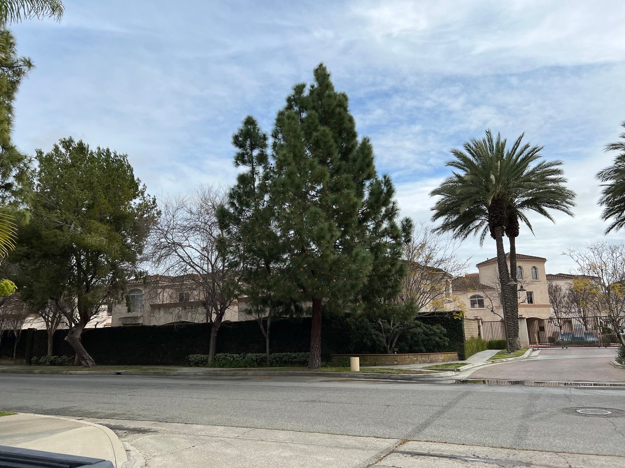 11841 Monroe Street 101