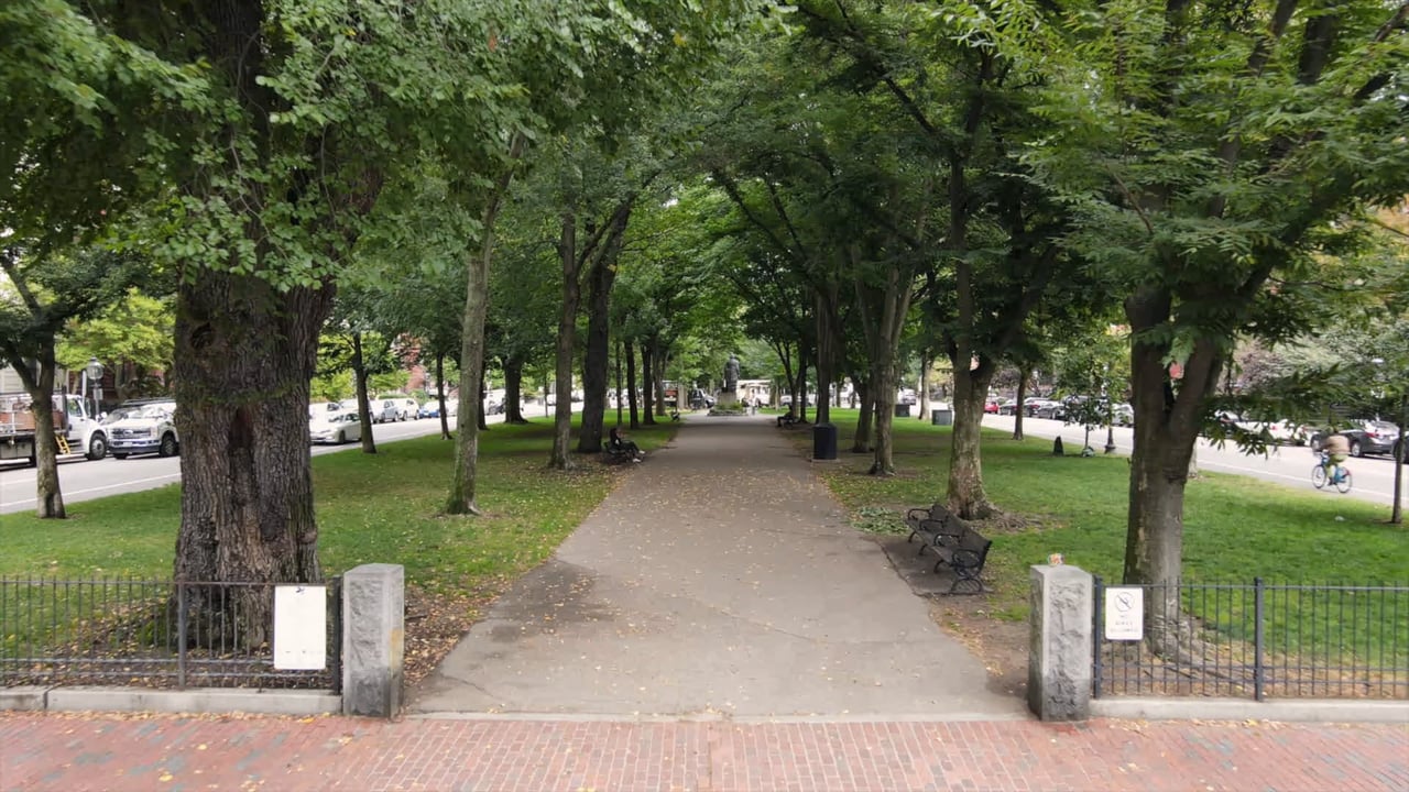 339 Commonwealth Ave #2