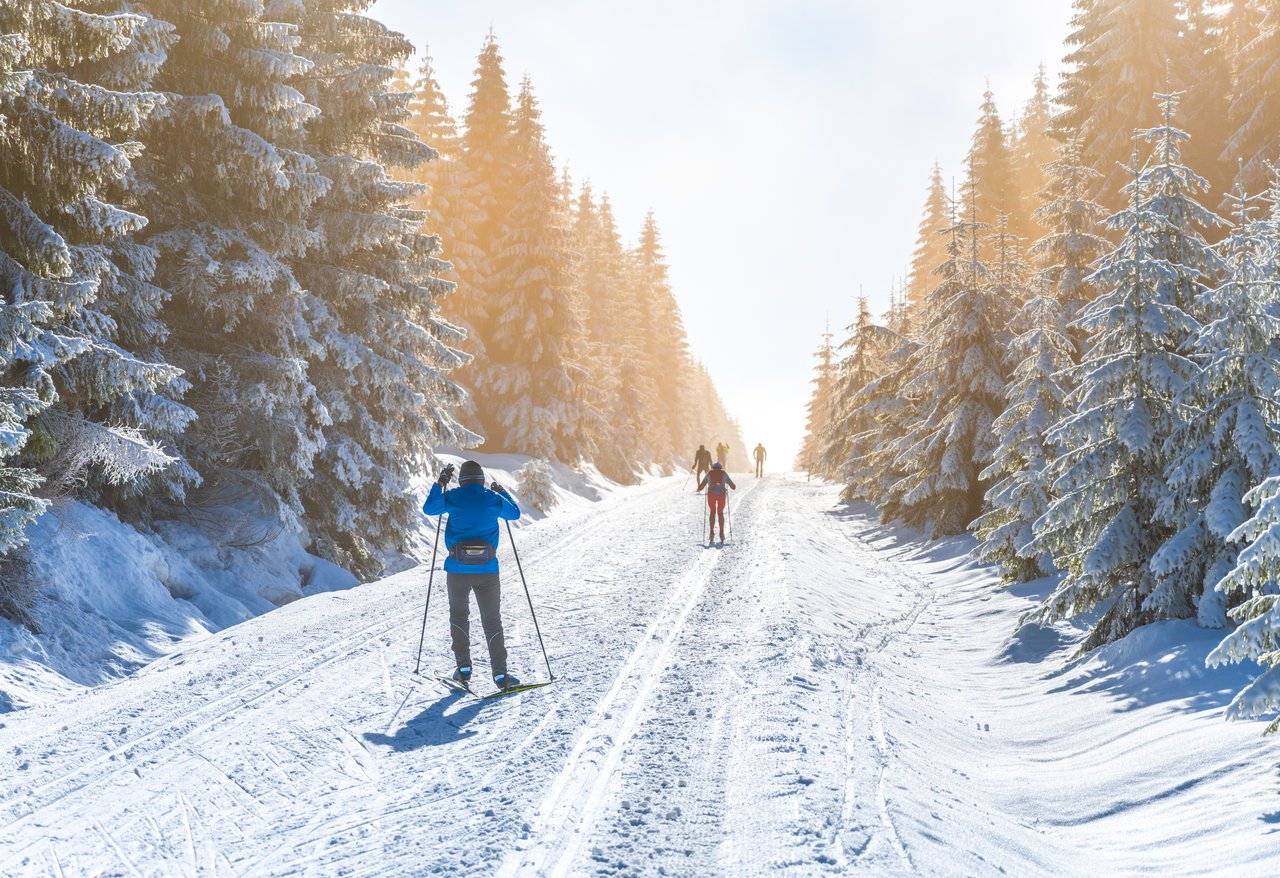 Skiiers enjoying a serene cross-country trail surrounded by snow-covered trees in Lake Tahoe near Incline Village.