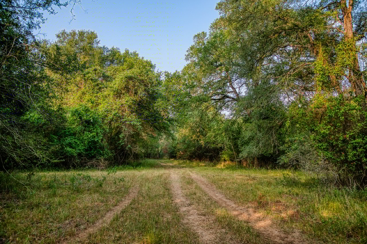 Revival Ranch TX