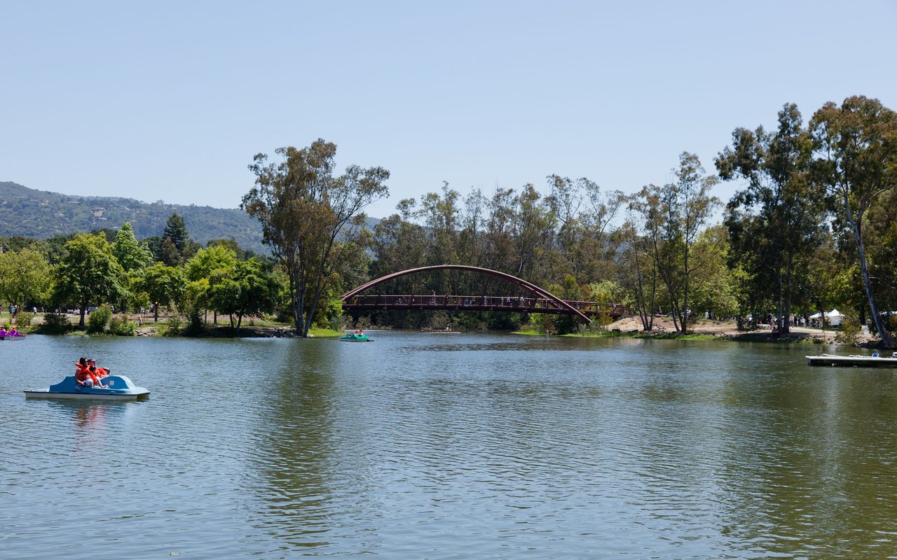 Image Form