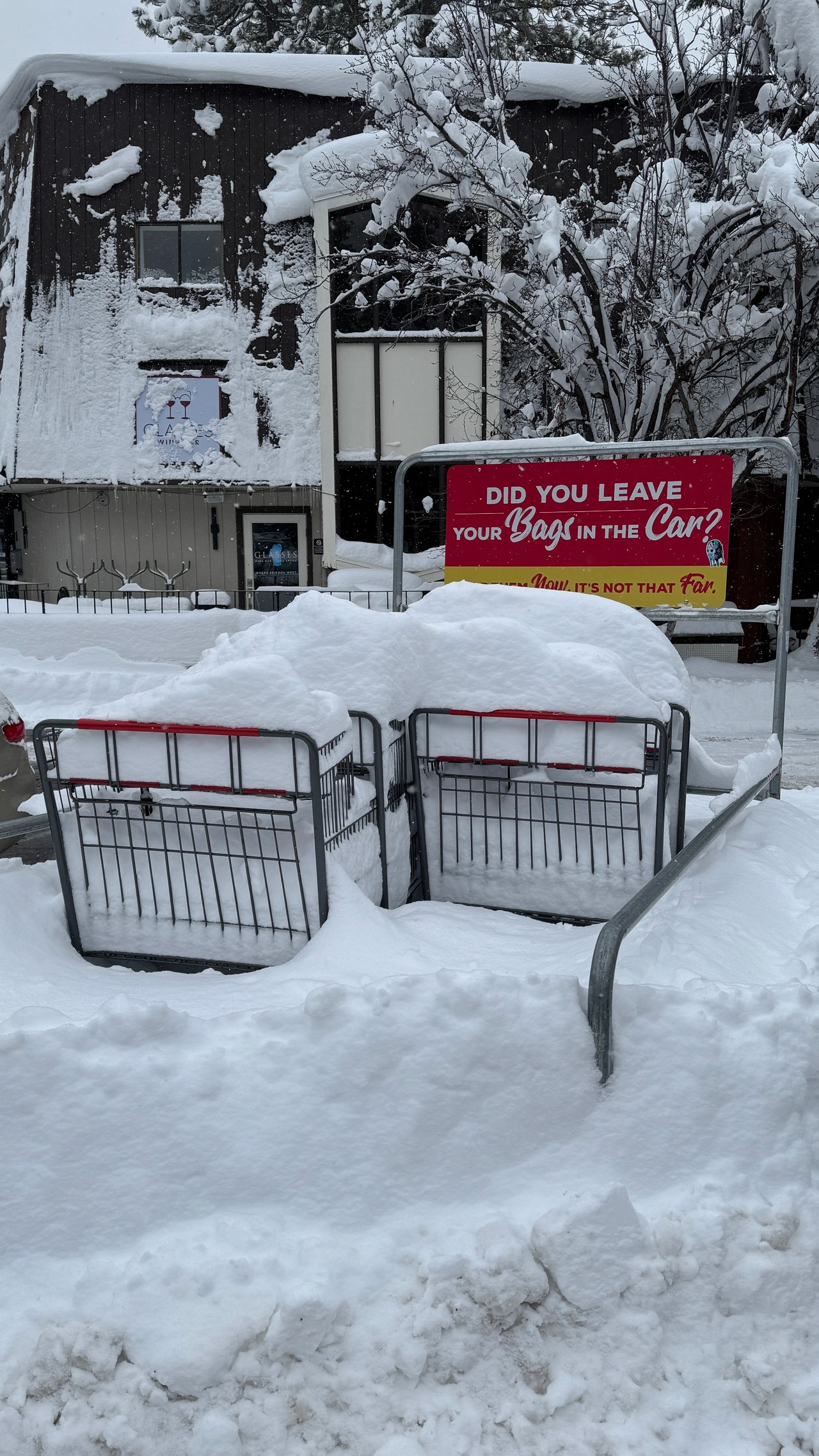 Inside Incline | Market Update: February 20, 2026 cover