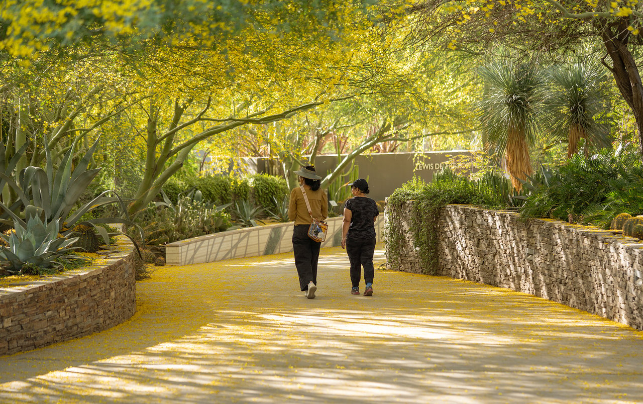 Palo Verde Foothills Estates