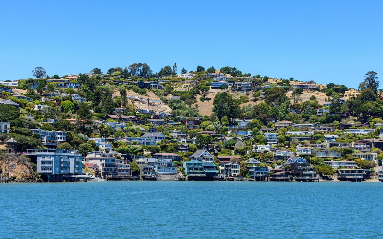 Tiburon