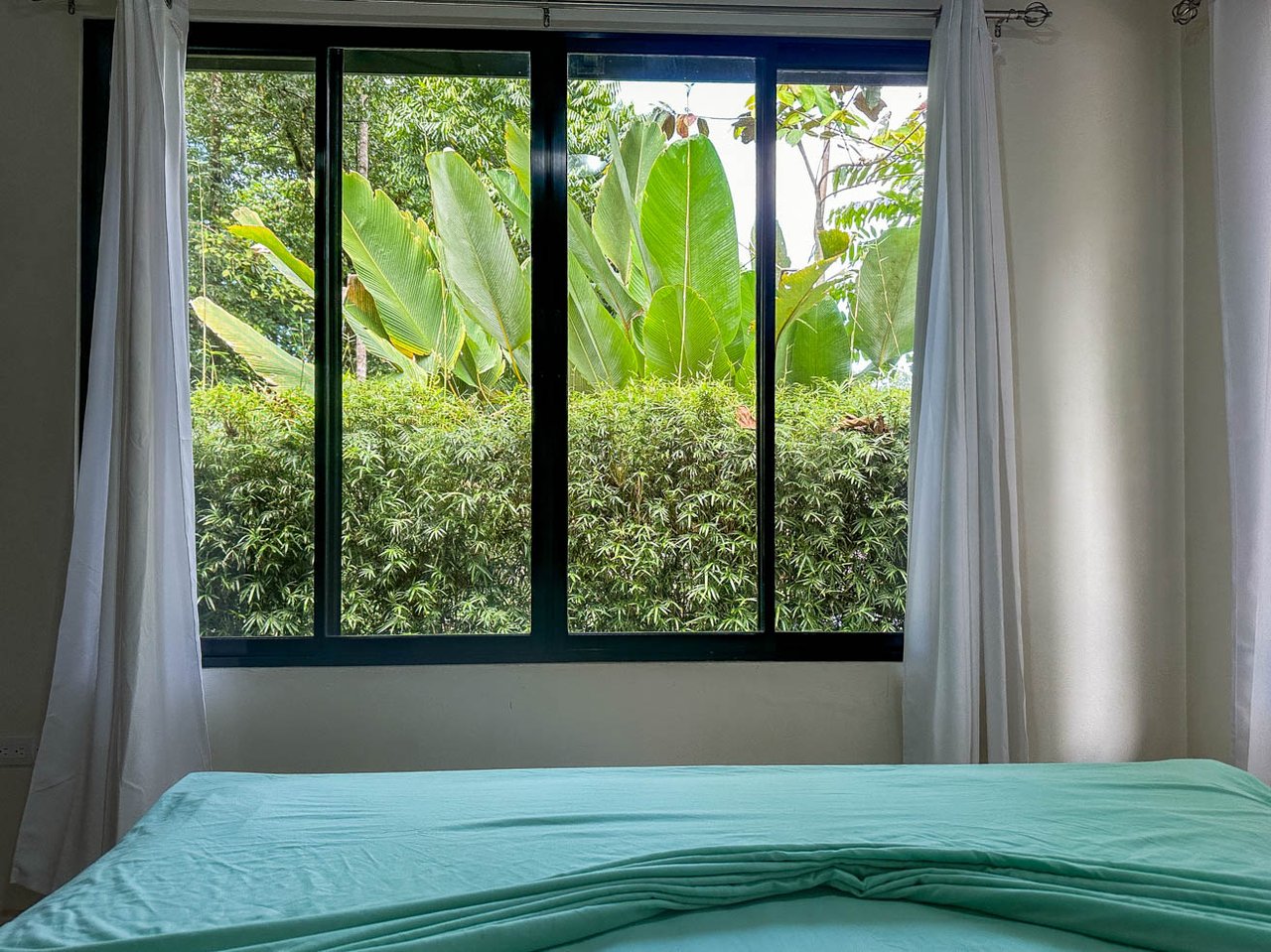 Rainforest Home with River, Jungle Trails & Pool in Ojochal