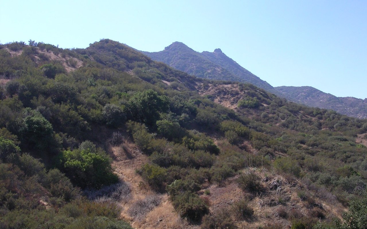 Ladyface Peak and chaparral viewed west from Kanan Road in Agoura Hills
