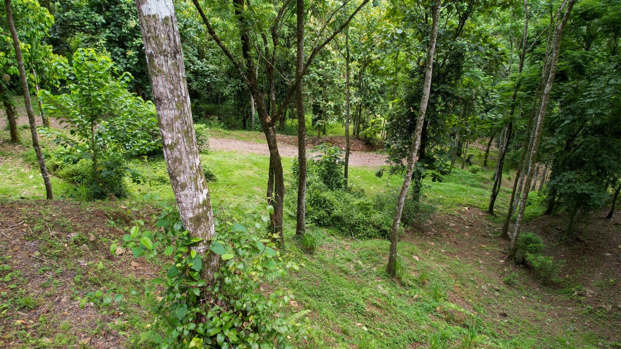 Mountain Chalet on 6.3 Acres with Stables & Panoramic Views
