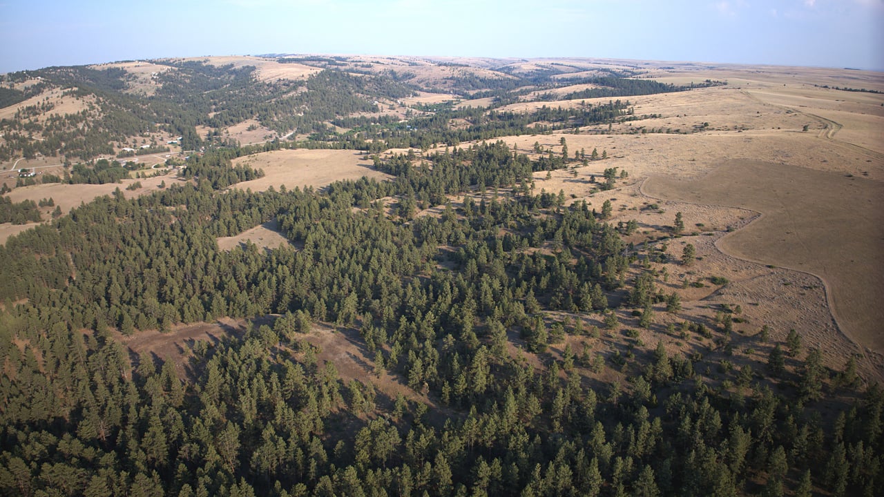 Stillwater County Ranch - Represented Buyers