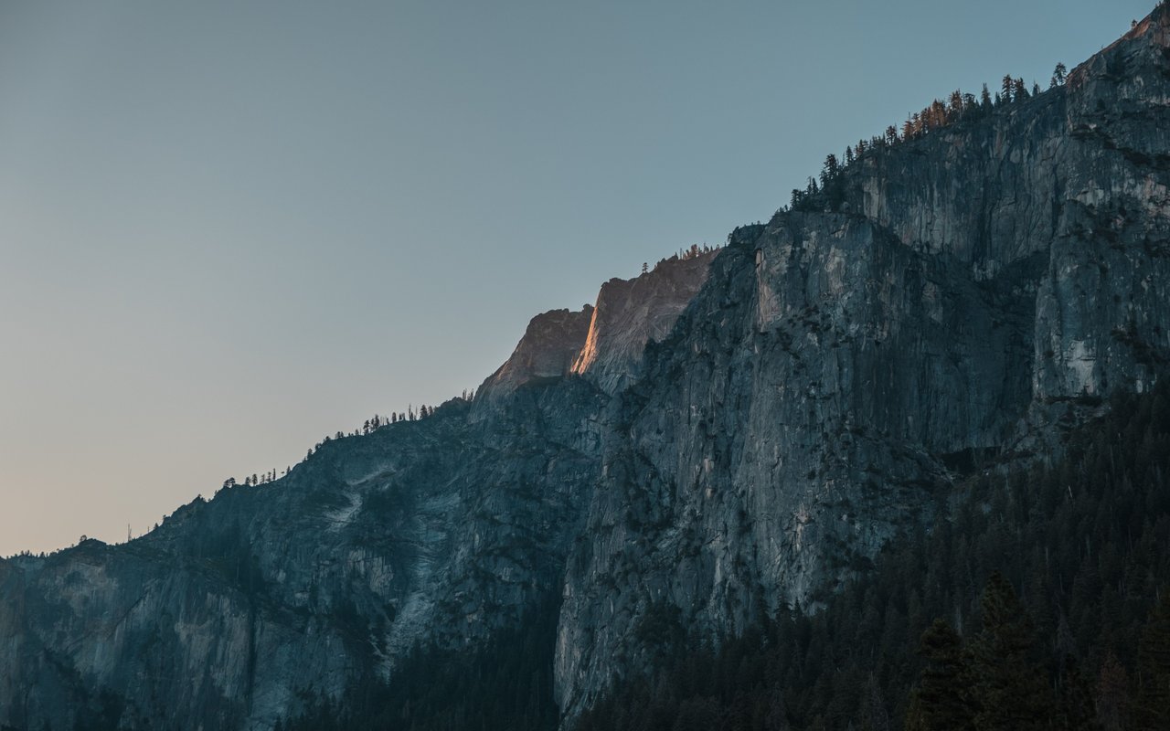 Granite mountain cliff above a conifer forest, with golden light touching the rock face.
