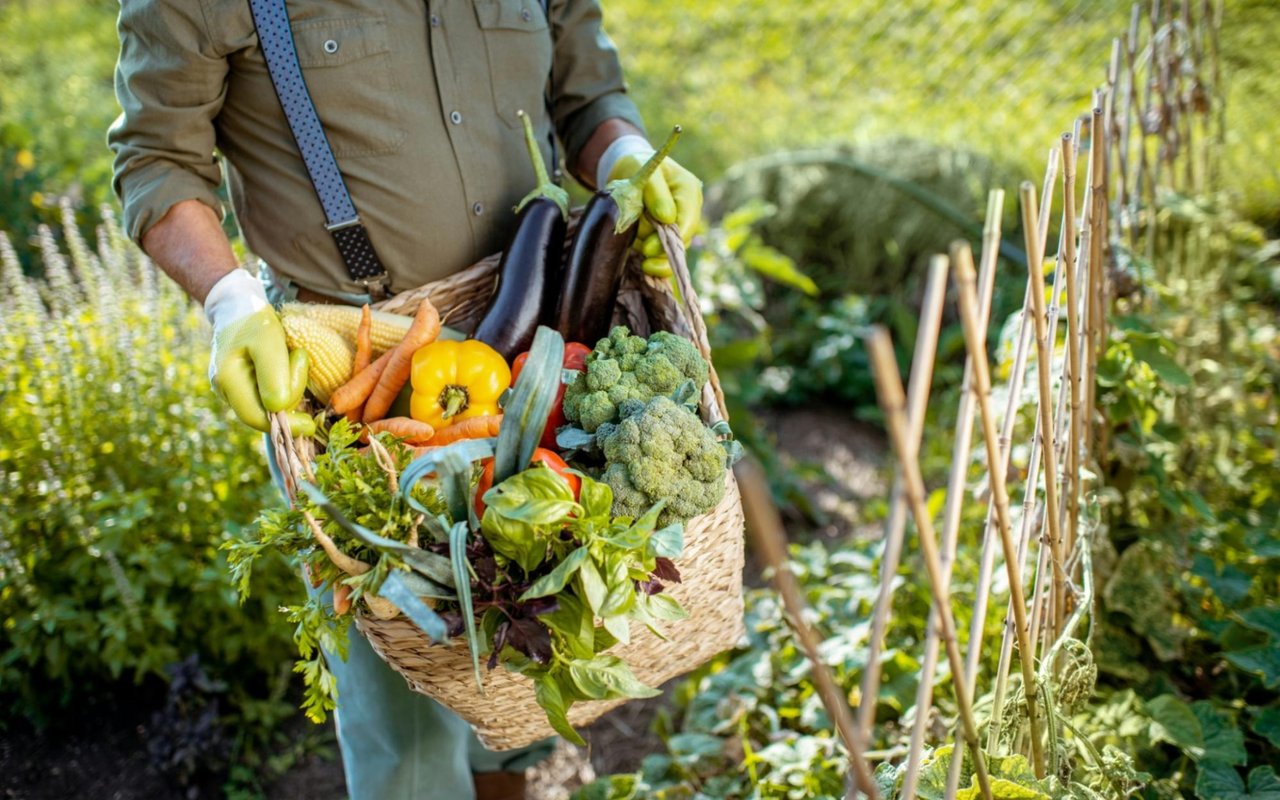 Charleston's Coastal Cuisine: Farm-to-Table Delights