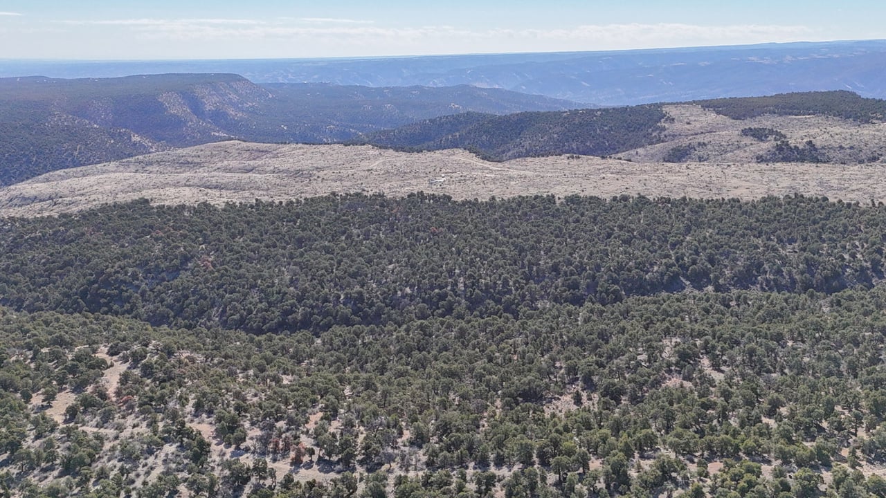 1 W Elk Meadows