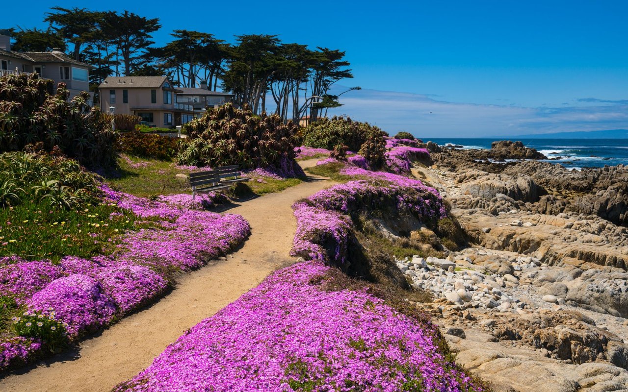 Monterey
