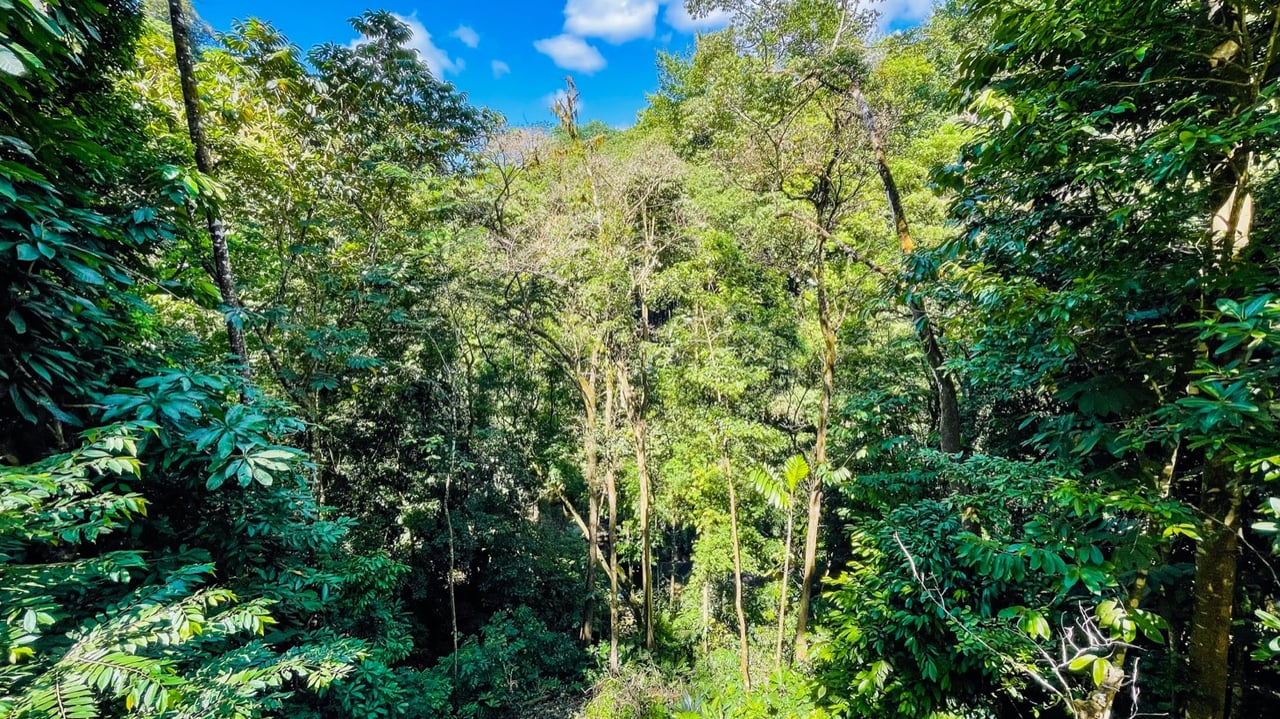 Nature Retreat Estate – Southern Pacific Zone, Costa Rica