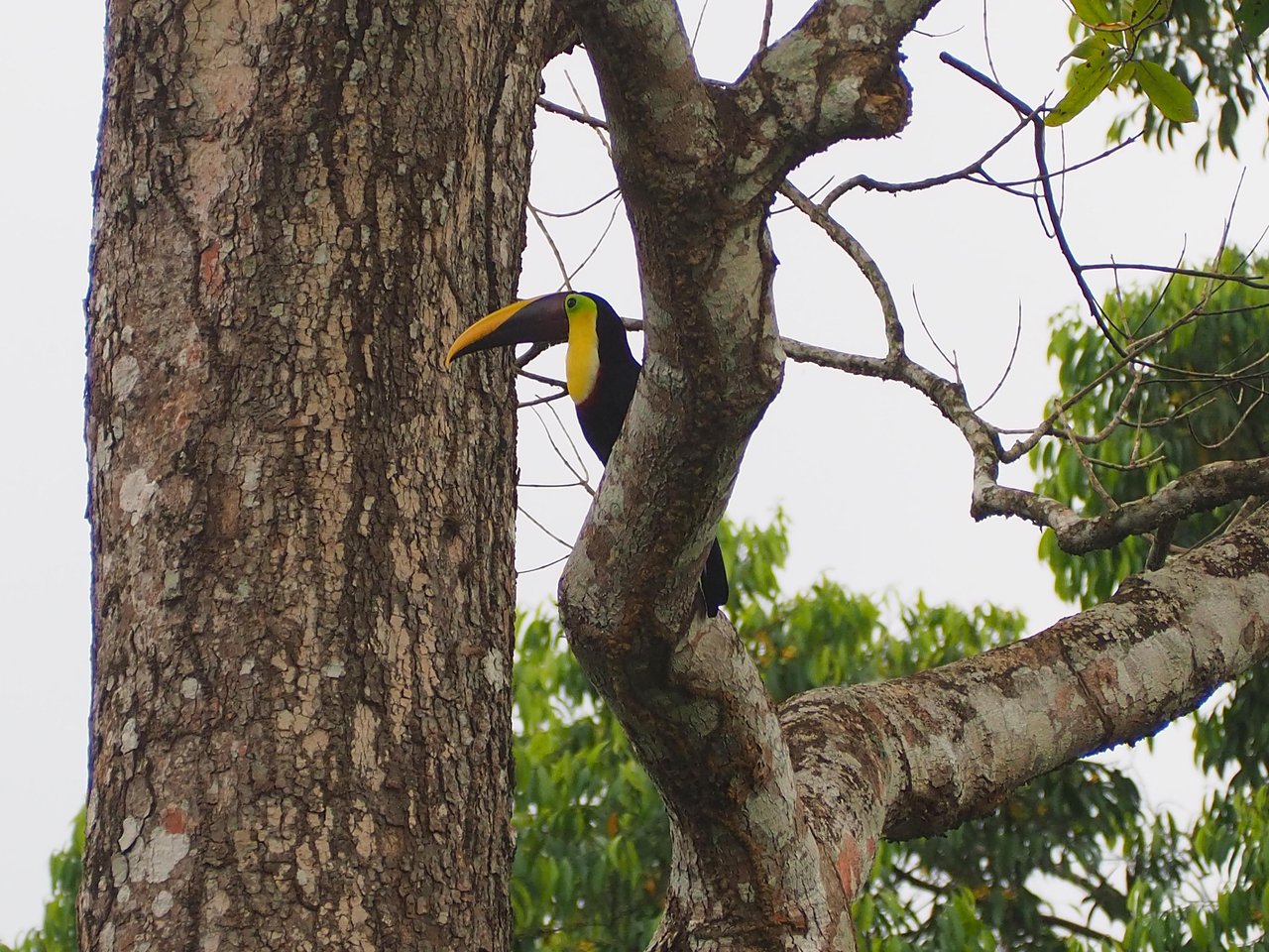 Eco Property Media Luna