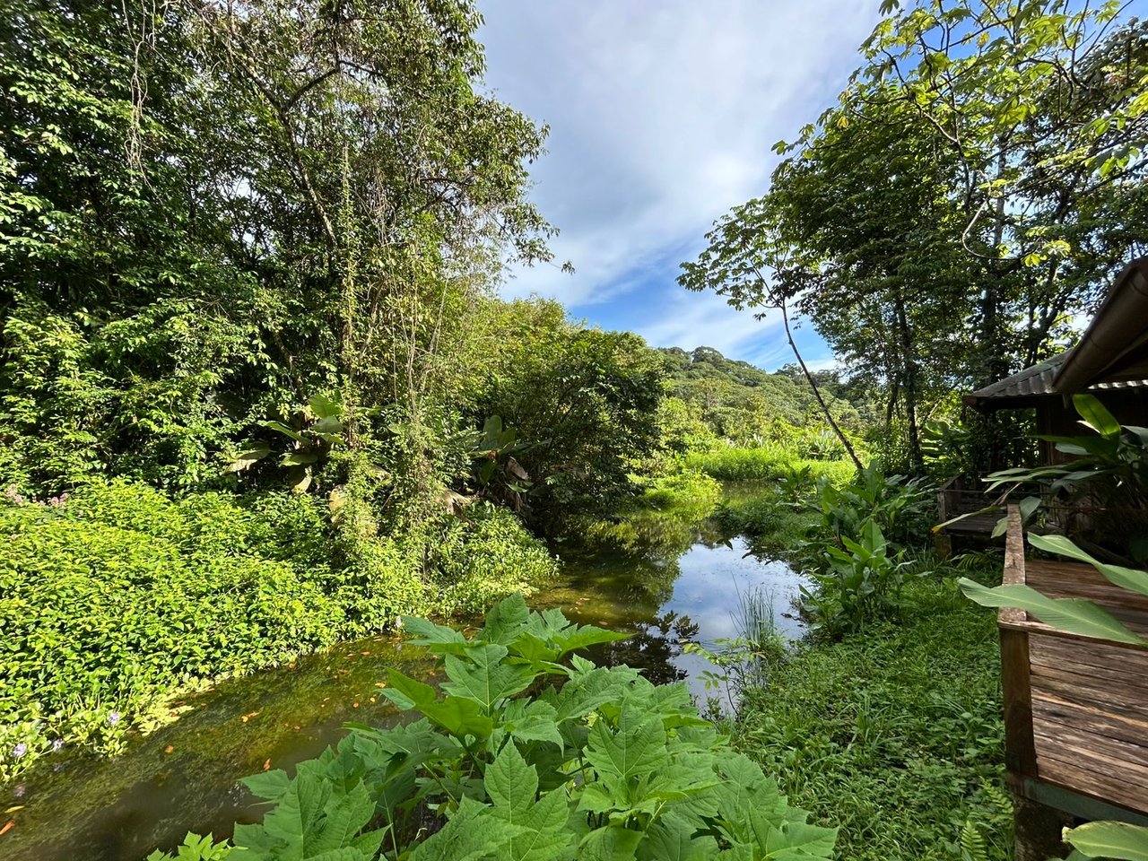 60 Acre Fully Sustainable and Impactful Conservation Initiative Near Golfito