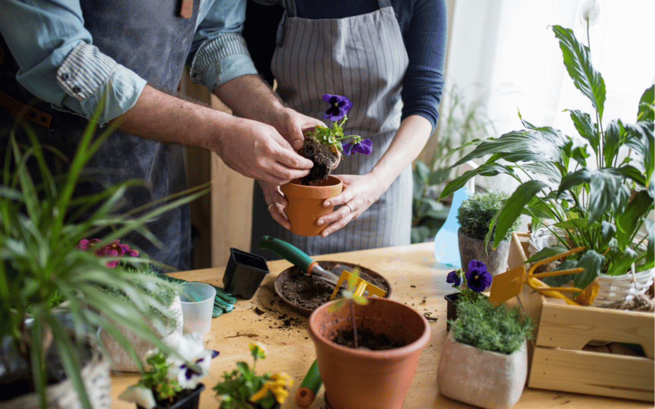 Coastal Garden Makeovers: DIY Tips for the Jersey Shore