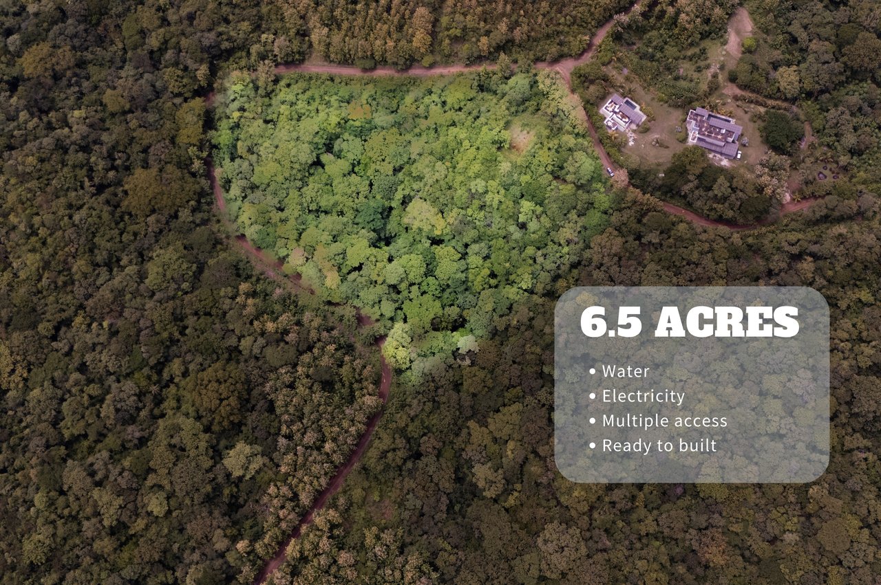 Aerial view of a 6.5-acre wooded property with access roads and two buildings.