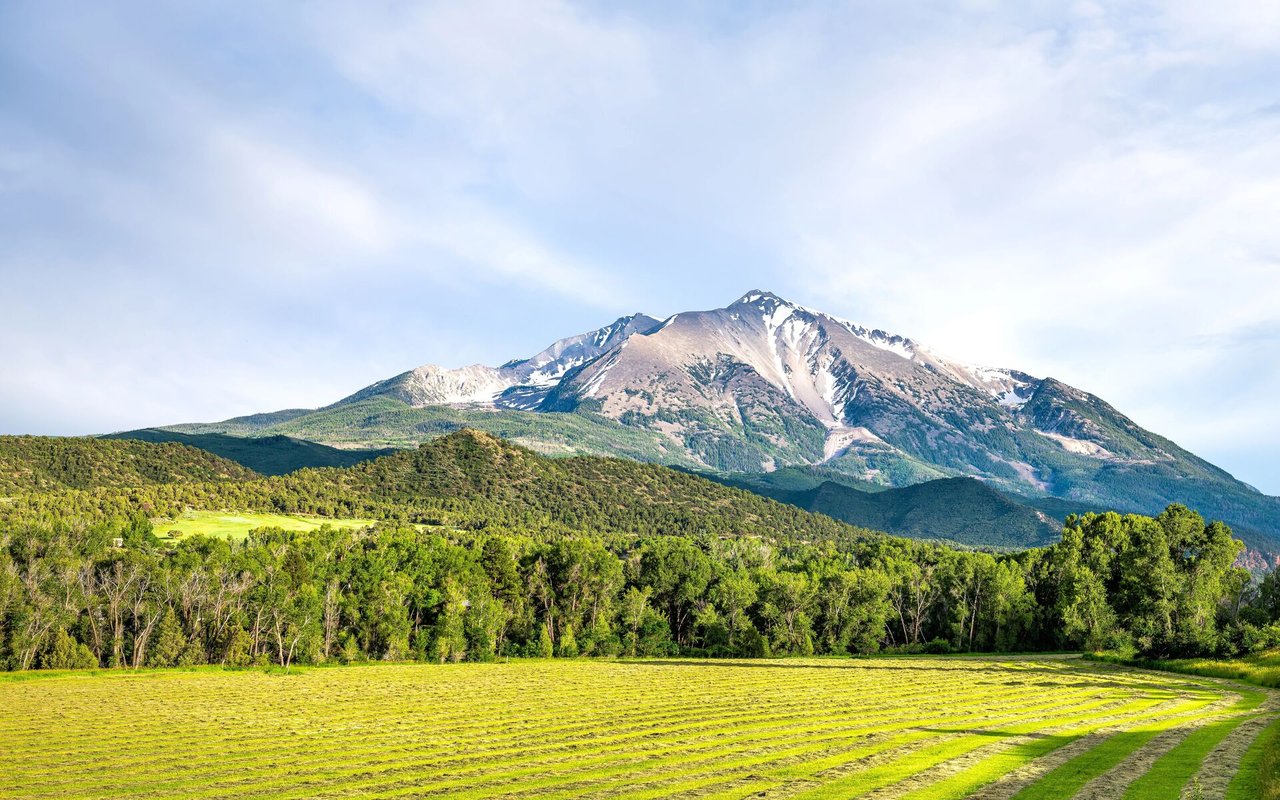 West Snake South of Wilson