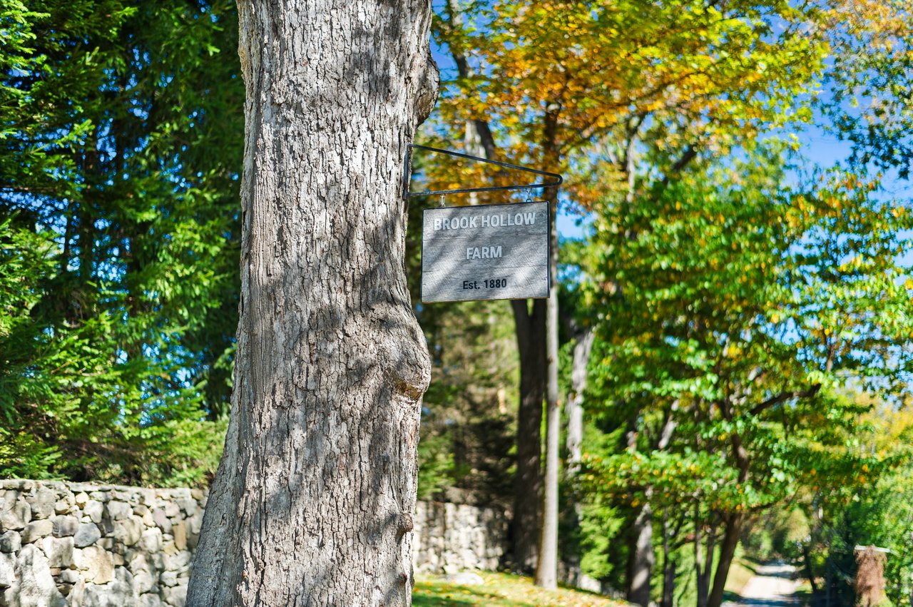 Brook Hollow Farm