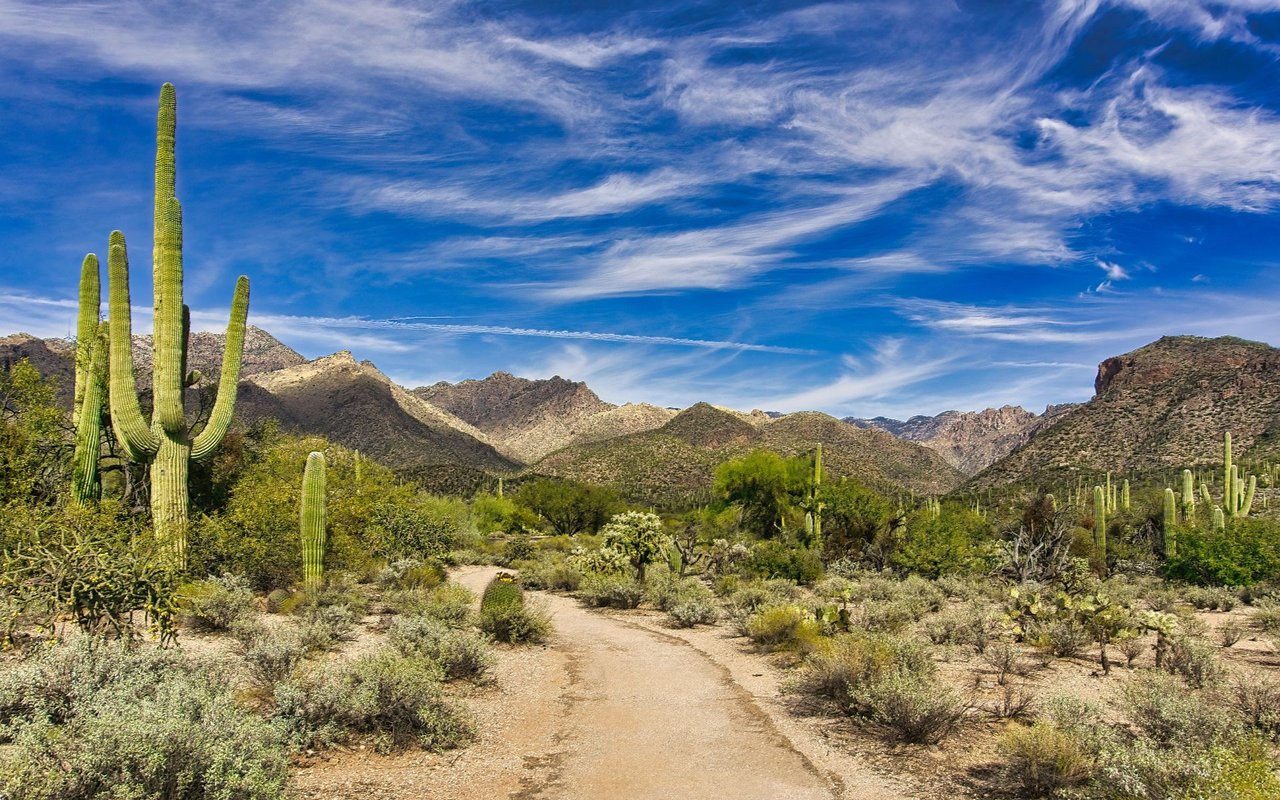 Sabino Canyon