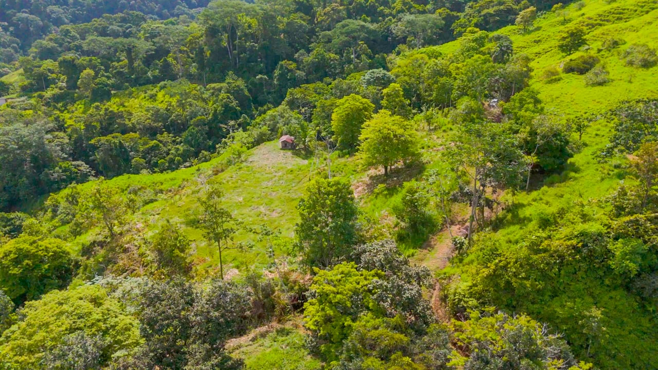 San Josecito Farm Above Uvita, 4 Acres, Creek and Usable Land