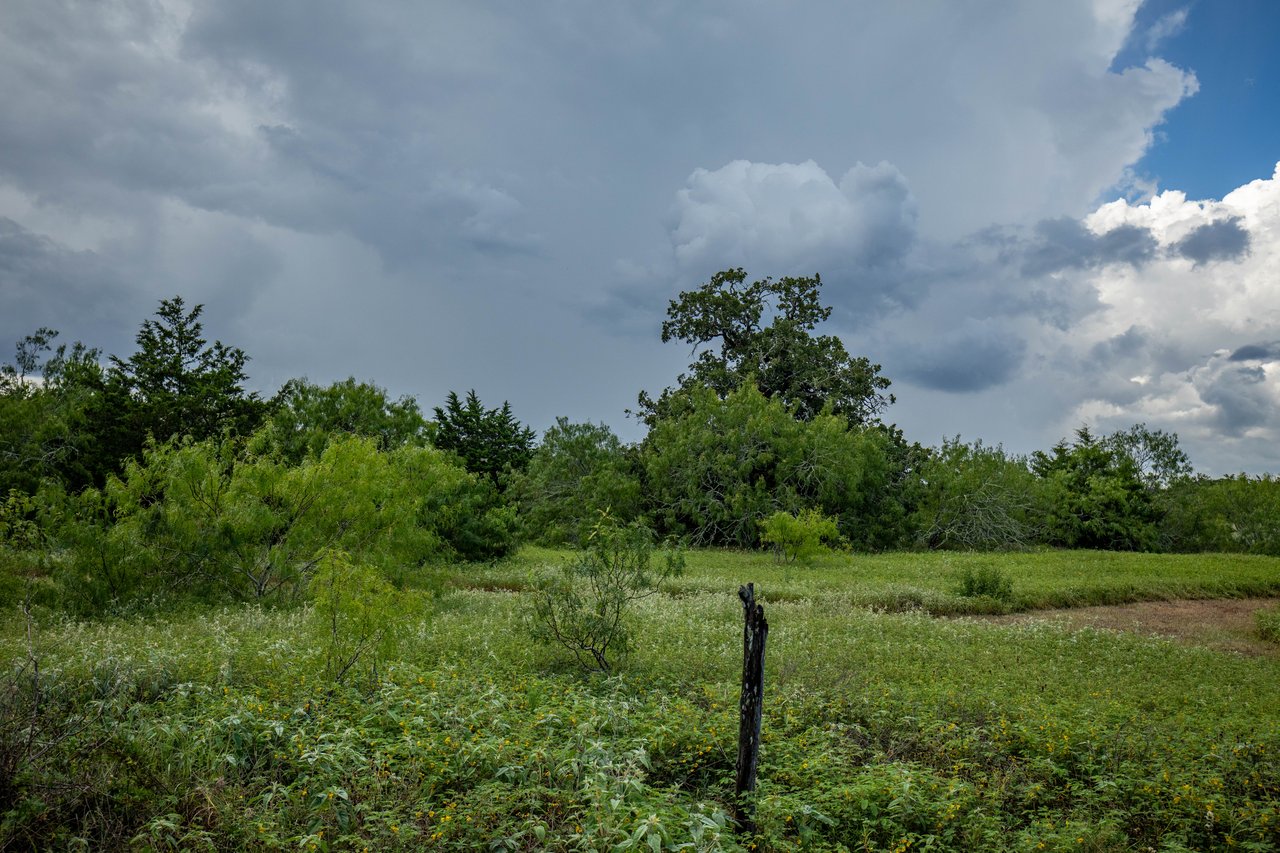 Post Oak Preserve | 18.115 ± Acres | Fayette County