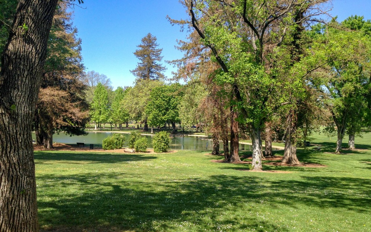 Land Park / Curtis Park